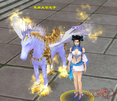 天龙八部表情包下载_天龙游戏年终宝宝珍兽_天龙游戏年终回馈奖励