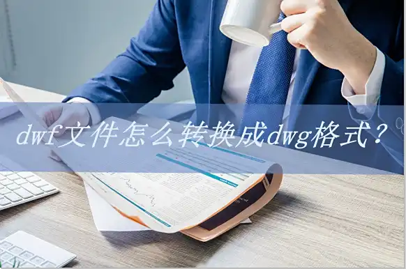 如何将dwf文件转换成dwg格式_dwf转dwg教程_dwg trueconvert下载