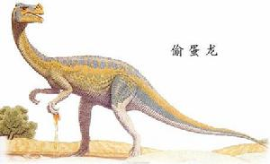 类似鸭嘴龙的恐龙