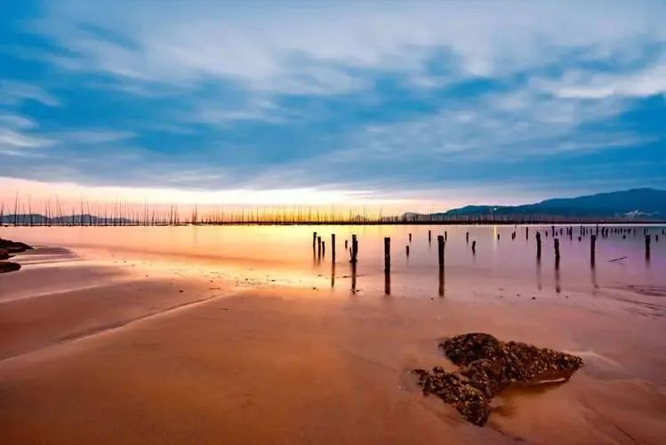 瓦尔登湖 梭罗 生活价值 治愈心灵 _瓦尔登湖pdf下载_ 简朴生活 大自然 思想启迪 