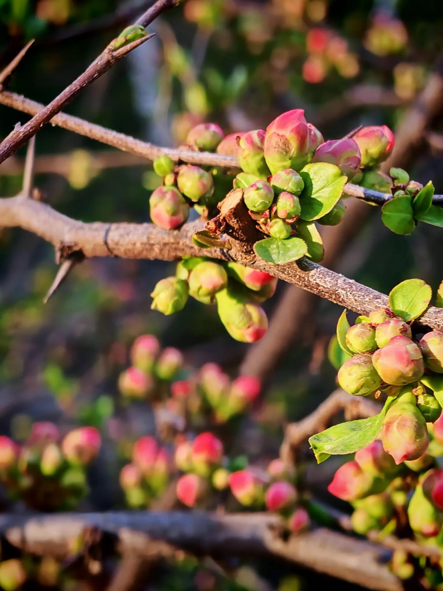 方正小标宋简体官方下载_党政机关公文排版规范 GB/T 9704-2012 标准应用指南