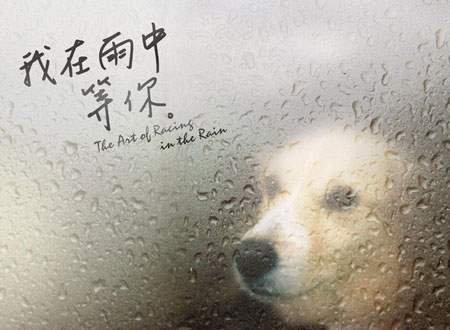 我在雨中等你 小说 宠物狗_狗狗小说txt下载