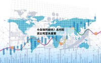 小白如何避坑？选对配资公司至关重要