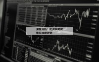 深度分析：配资网的优势与风险评估