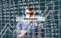 股票配资什么意思
