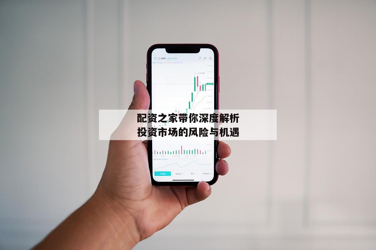 配资之家带你深度解析投资市场的风险与机遇